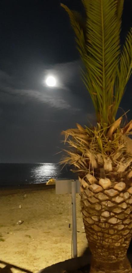 Sea View Apartments Aphrodite Λεπτοκαρυά Εξωτερικό φωτογραφία